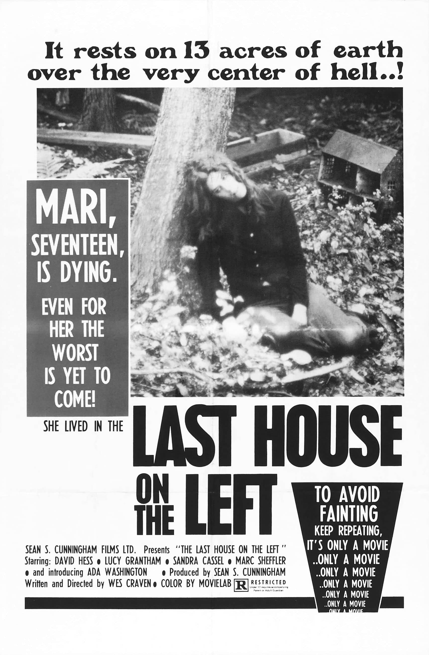 last_house_on_the_left_poster_01