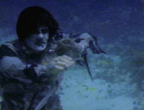 Horror History for August 22nd Delivers the Zombie Shark Fight