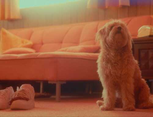 ‘JACQUES’ Don’t Come Between A Woman & Her Dog – FIFF 2023